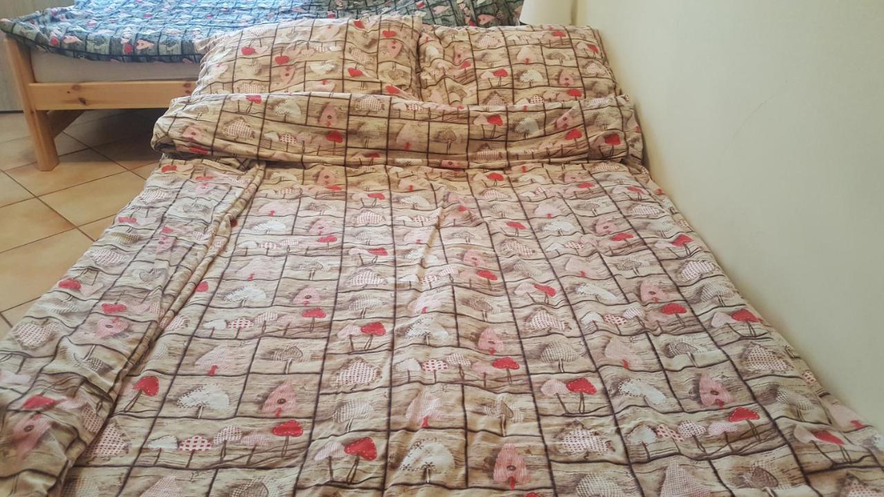 Dziwnów Dom Joanna Bed & Breakfast エクステリア 写真